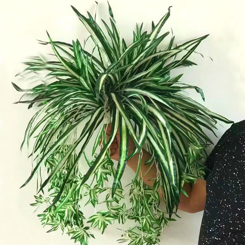 Artificial Silk Spider Plant Chlorophytum Comosum Greenery Office Garden Home