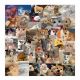 Funny Cat Dog Meme Stickers Skateboard Vinyl Decals Laptop Luggage Sticker 48Pcs Funny Cat Dog Meme Stickers Skateboard Vinyl Decals Laptop Luggage Sticker 48Pcs