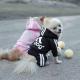 Legs Pet Dog Clothes Cat Puppy Coat Winter Hoodies Warm Sweater Jacket Clothing Legs Pet Dog Clothes Cat Puppy Coat Winter Hoodies Warm Sweater Jacket Clothing