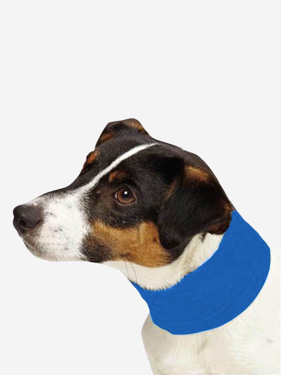 NEW! COOLING INSECT SHIELD DOG PET NECK GAITER SCARF BUG PROTECTION BLUE NEW! COOLING INSECT SHIELD DOG PET NECK GAITER SCARF BUG PROTECTION BLUE