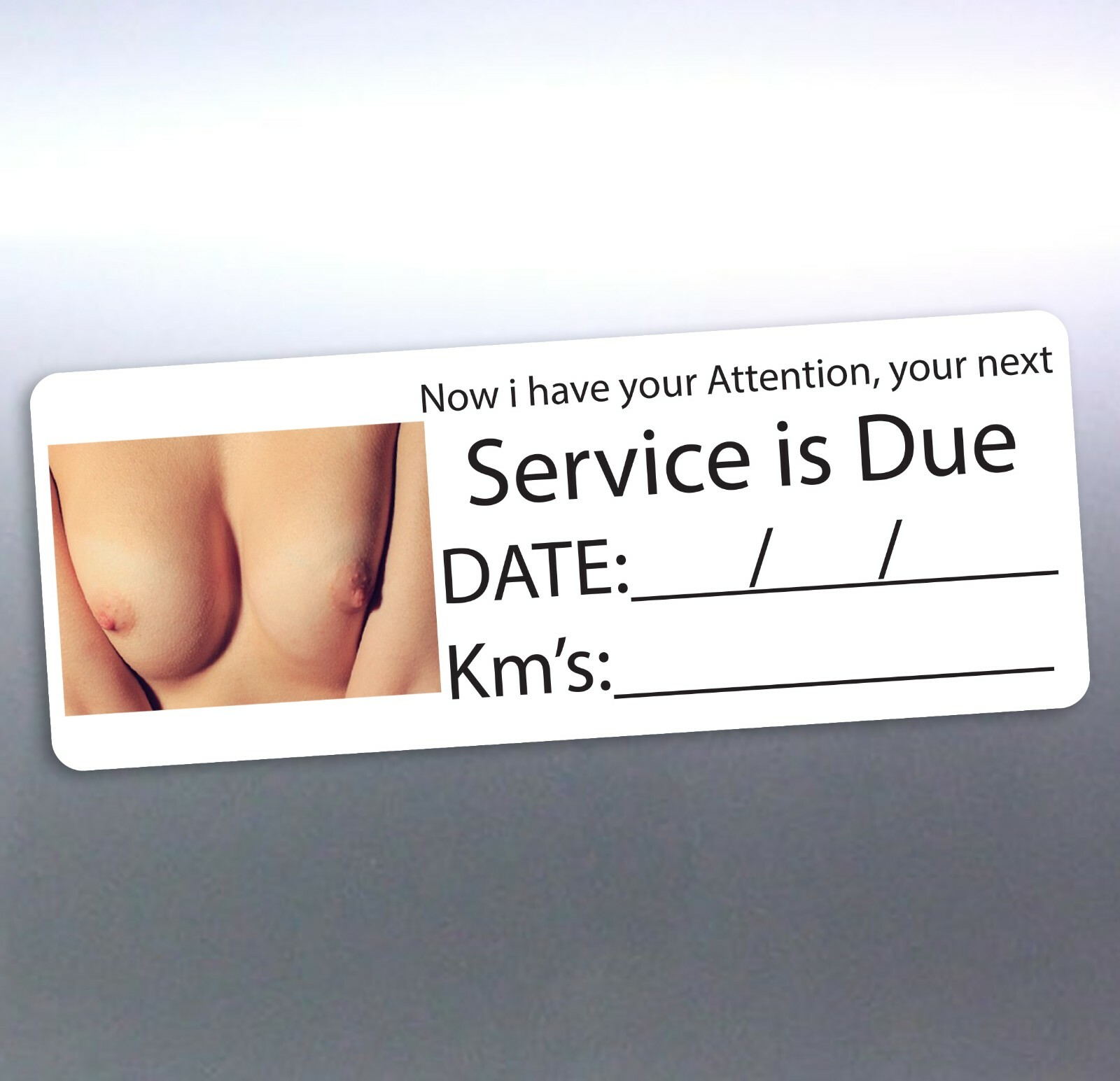 16 booby Next Service due stickers 65x25mm your attention distraction real boobs 16 booby Next Service due stickers 65x25mm your attention distraction real boobs