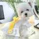 Cute Pet Dog Dress Clothes Hollow Daisy Flower Puppy Cat Princess Skirt Costumes Cute Pet Dog Dress Clothes Hollow Daisy Flower Puppy Cat Princess Skirt Costumes