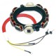 CDI Electronics 173-2099 Omc Stator 4Cyl 12Amp CDI Electronics 173-2099 Omc Stator 4Cyl 12Amp