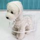 Dog Puppy Pet Raincoat Waterproof Transparent Clear for Spring Summer Light 1pc Dog Puppy Pet Raincoat Waterproof Transparent Clear for Spring Summer Light 1pc