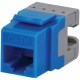 Datacomm Electronics 20-3426-Bl-10 Cat-6 Jacks, 10 Pack (Blue) DCM203426BL10 Datacomm Electronics 20-3426-Bl-10 Cat-6 Jacks, 10 Pack (Blue) DCM203426BL10