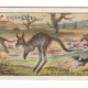Wills Australia Sports of the World 1906. Kangaroo Hunting Wills Australia Sports of the World 1906. Kangaroo Hunting