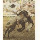 Weet-bix Australia – Spectacular Sports #12. Rodeo Weet-bix Australia – Spectacular Sports #12. Rodeo