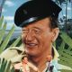 Donovans Reef Movie Poster 18” X 28” ID-8 Donovans Reef Movie Poster 18” X 28” ID-8