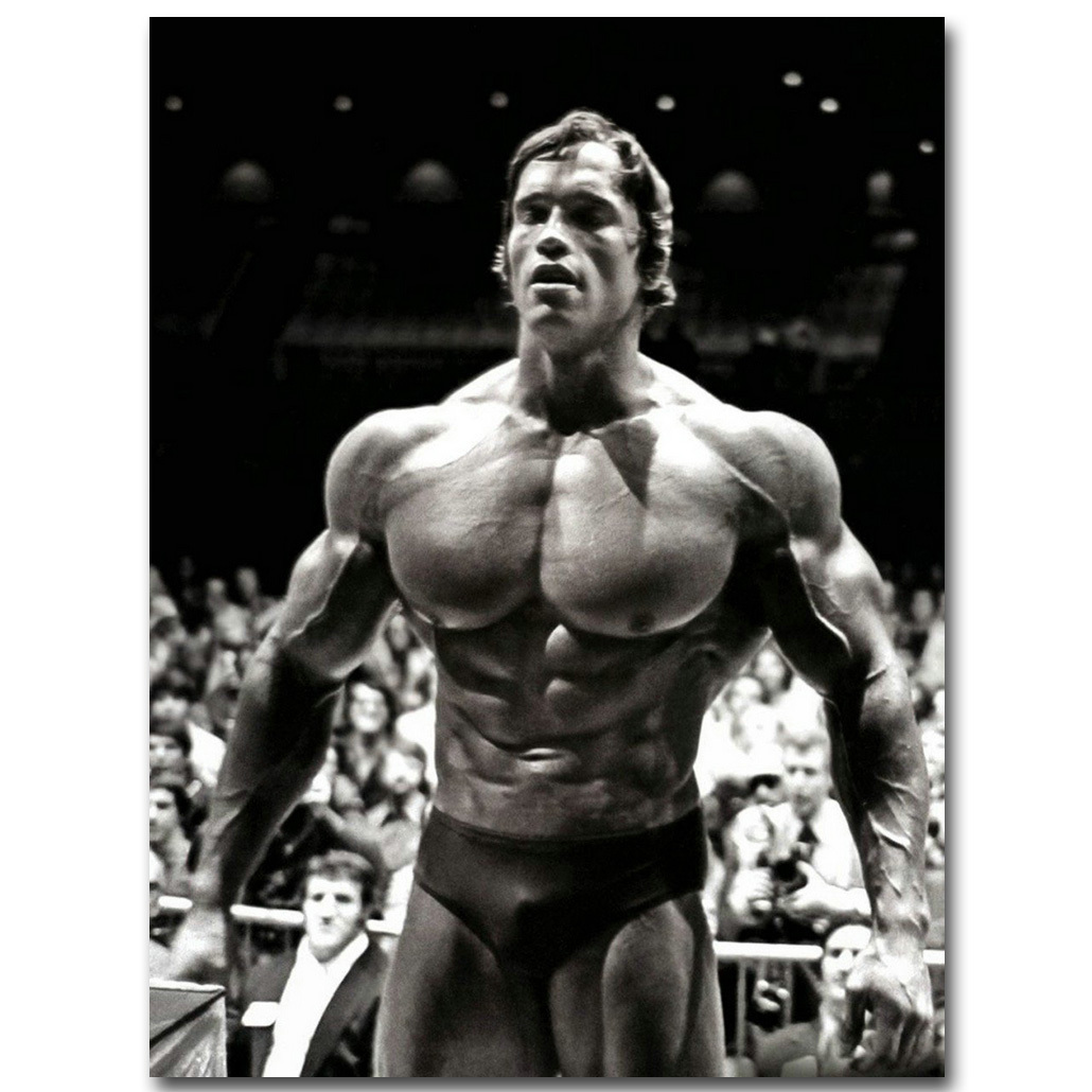 Arnold Schwarzenegger Bodybuilding Fitness Silk Poster 12×18 24×36 Gym Decor 034 Arnold Schwarzenegger Bodybuilding Fitness Silk Poster 12×18 24×36 Gym Decor 034