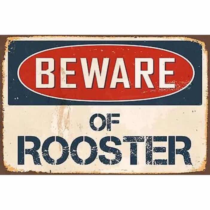 Metal Tin Sign Funny Warning Beware Of Rooster Wall Poster Home Decor Bar Garden Metal Tin Sign Funny Warning Beware Of Rooster Wall Poster Home Decor Bar Garden