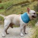 Pet Summer Beach Cooling Collar for Dog Cat Bandana Ice Towel Scarf Pet Summer Beach Cooling Collar for Dog Cat Bandana Ice Towel Scarf