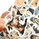 50pcs Cute Cats Animal Graffiti Sticker Toys For Suitcase Laptop Decal 🐈 50pcs Cute Cats Animal Graffiti Sticker Toys For Suitcase Laptop Decal 🐈