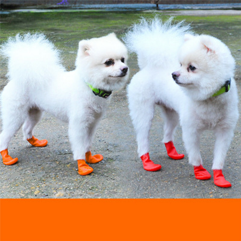 Waterproof Rubber Dog Rain Boots Pet Dog Fashion Footwear Socks Pet Supplies WA Waterproof Rubber Dog Rain Boots Pet Dog Fashion Footwear Socks Pet Supplies WA