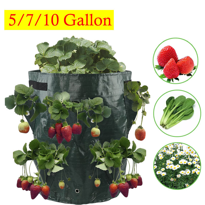 5 7 10 Gallon Garden Flower Tomato Strawberry Planter Grow Bag Plant Pouch Bag 5 7 10 Gallon Garden Flower Tomato Strawberry Planter Grow Bag Plant Pouch Bag