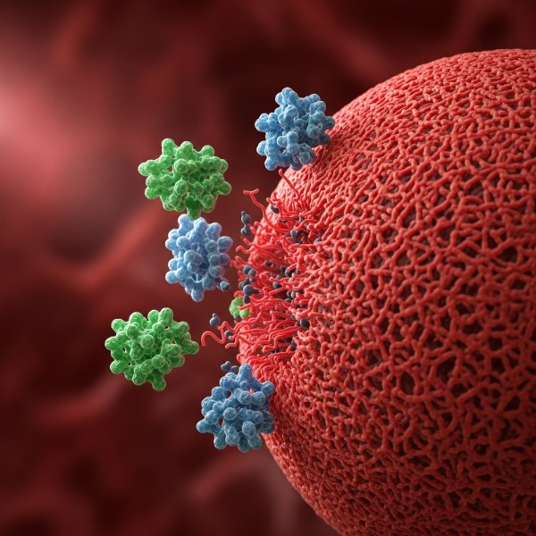 낫토키나제 효능 낫토키나제 효능
