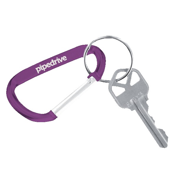 Carabiner Keychain 1