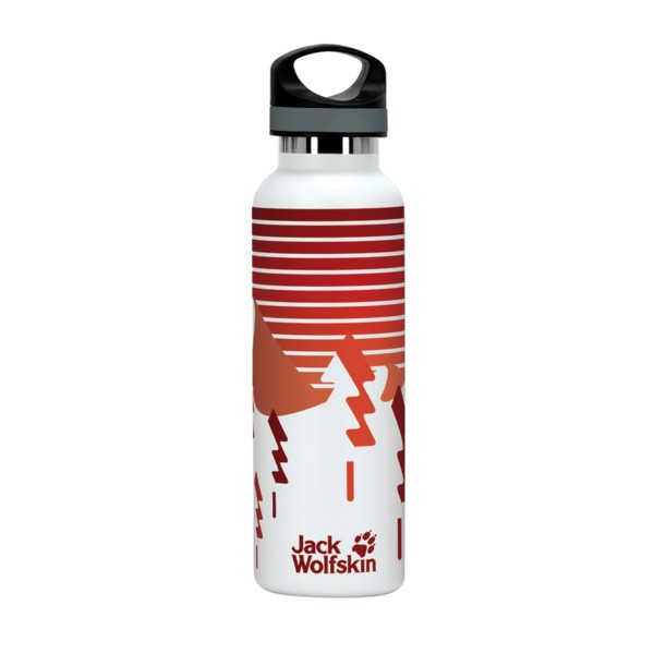 20 oz. Basecamp Tundra Bottle with Screw Top Lid 1