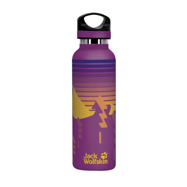 20 oz. Basecamp Tundra Bottle with Screw Top Lid 1