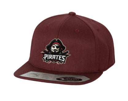 Flexfit 110F One Ten Snapback 1