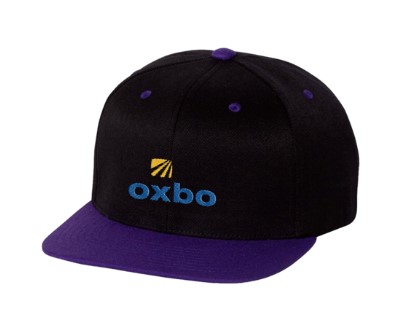 Flexfit 110F One Ten Snapback 1