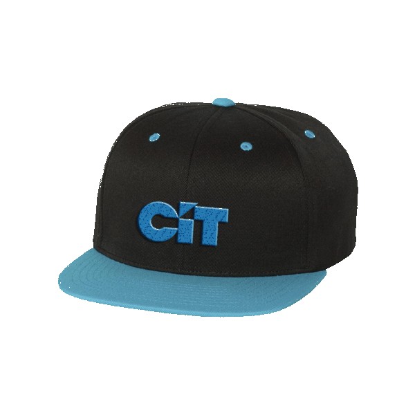 Flexfit 110F One Ten Snapback 1
