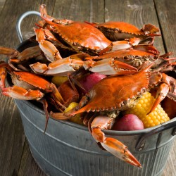 Resep Masak Kepiting: Panduan Lengkap Resep Masak Kepiting: Panduan Lengkap