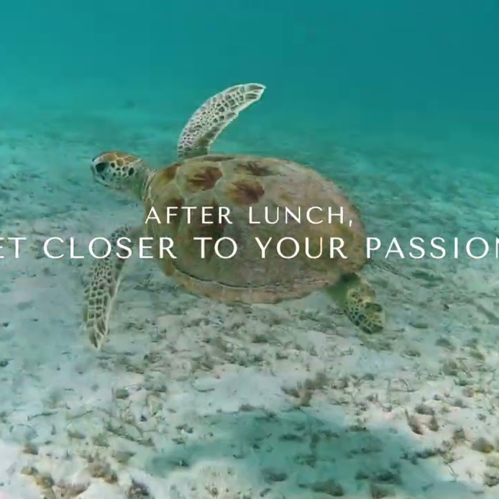 Caribbean Diaries: 24 Hours at Sandals Royal Barbados Caribbean Diaries: 24 Hours at Sandals Royal Barbados