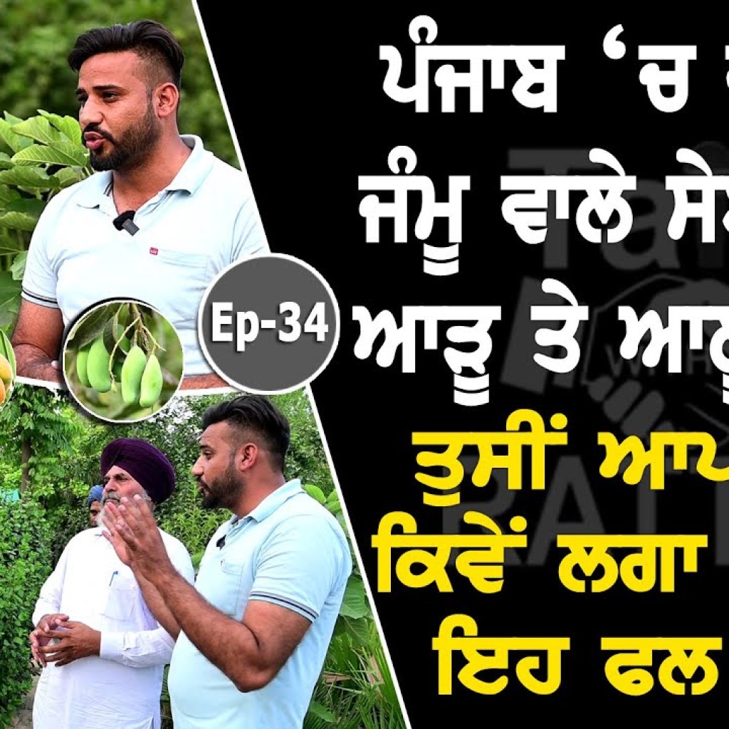 Show with Gurjeet Singh Maiserkhana | Farming | EP 34 | Talk with Rattan Show with Gurjeet Singh Maiserkhana | Farming | EP 34 | Talk with Rattan