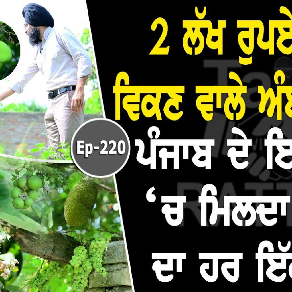 Show with Simranjeet Singh Kotkapura | Horticulture | EP 220 | Talk with Rattan Show with Simranjeet Singh Kotkapura | Horticulture | EP 220 | Talk with Rattan