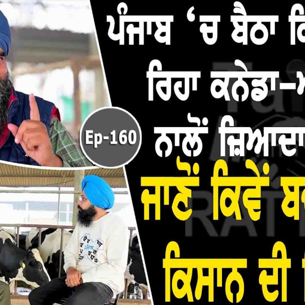 Show with Nirmal Singh Aulakh | EP 160 | Talk with Rattan Show with Nirmal Singh Aulakh | EP 160 | Talk with Rattan