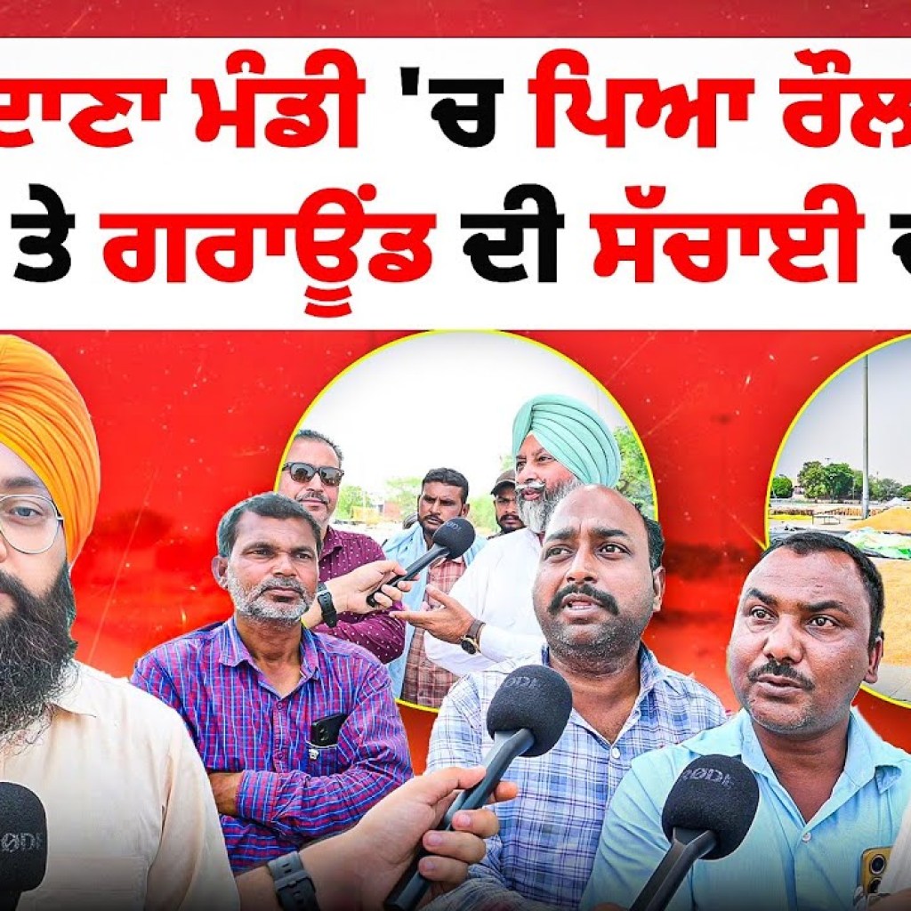 ਦਾਣਾ ਮੰਡੀ 'ਚ ਪਿਆ ਰੌਲਾ ਕਾਗਜਾਂ ਤੇ ਗਰਾਊਂਡ ਦੀ ਸੱਚਾਈ ਚ ਫਰਕ? | Report | Talk With Rattan ਦਾਣਾ ਮੰਡੀ 'ਚ ਪਿਆ ਰੌਲਾ ਕਾਗਜਾਂ ਤੇ ਗਰਾਊਂਡ ਦੀ ਸੱਚਾਈ ਚ ਫਰਕ? | Report | Talk With Rattan