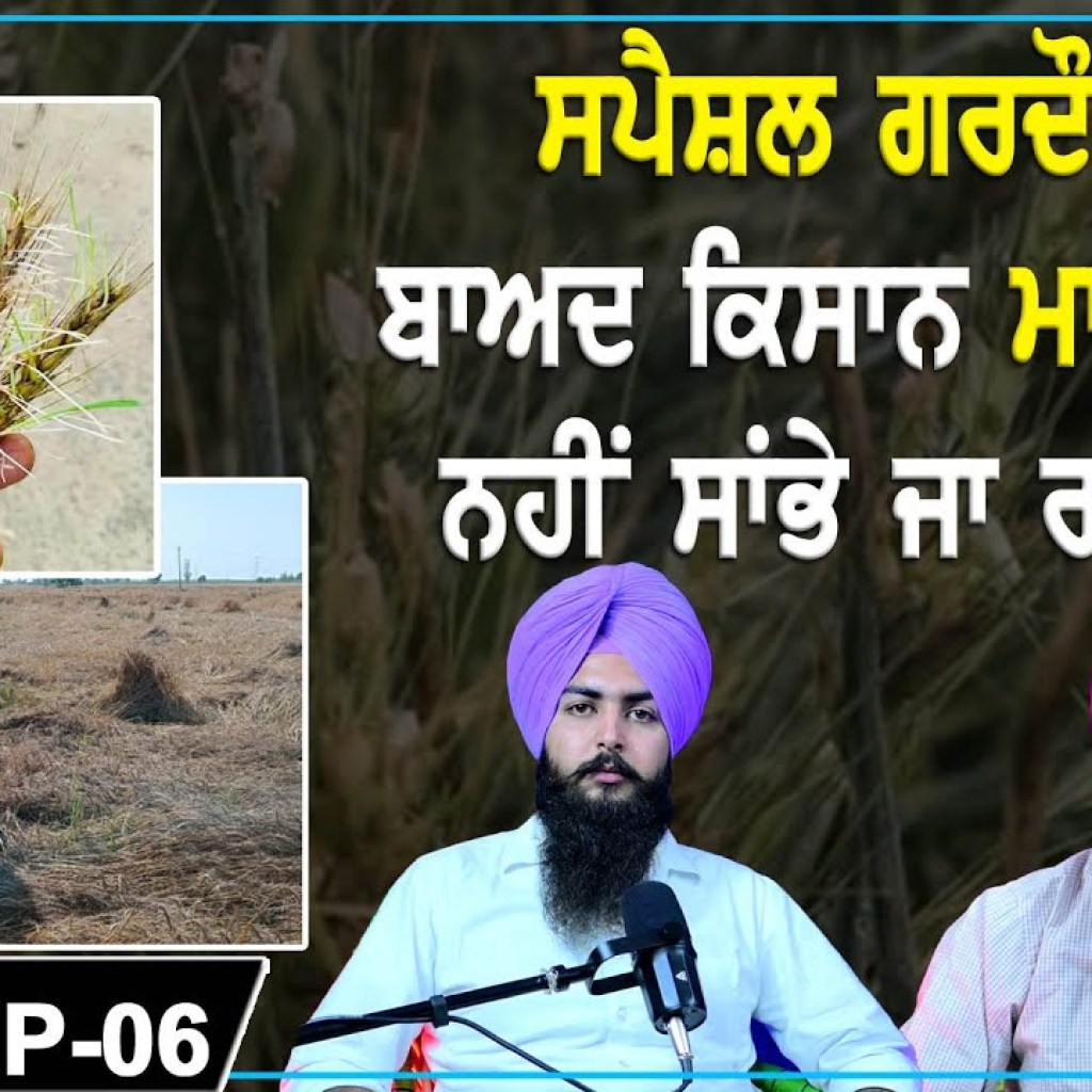 After Special Gardauri Farmers of Punjab are happy or not | EP 06 | Punjabi Podcast After Special Gardauri Farmers of Punjab are happy or not | EP 06 | Punjabi Podcast