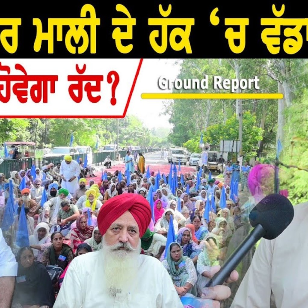 ਮਾਲਵਿੰਦਰ ਮਾਲੀ ਦੇ ਹੱਕ ਚ ਵੱਡਾ ਫੈਸਲਾ ਕੀ ਪਰਚਾ ਹੋਵੇਗਾ ਰੱਦ? ਮਾਲਵਿੰਦਰ ਮਾਲੀ ਦੇ ਹੱਕ ਚ ਵੱਡਾ ਫੈਸਲਾ ਕੀ ਪਰਚਾ ਹੋਵੇਗਾ ਰੱਦ?