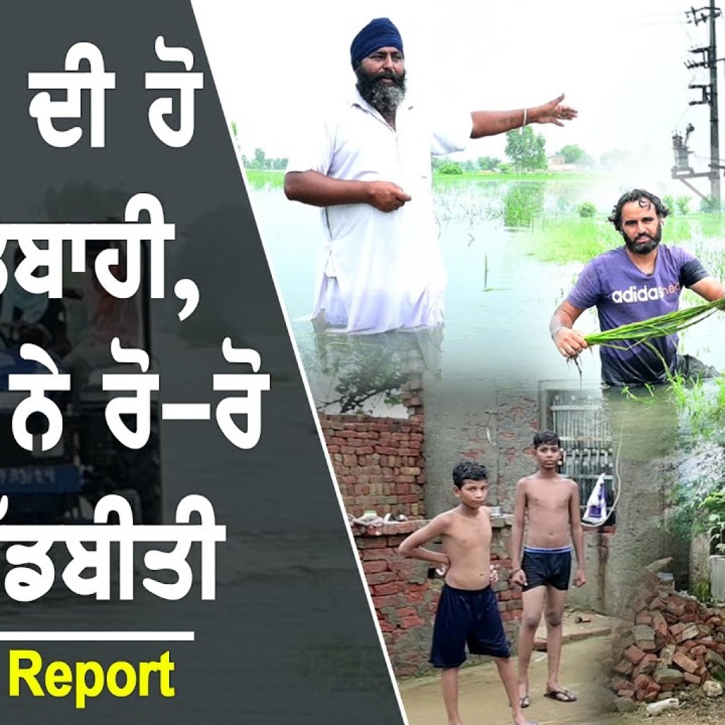 Farmers Agricultural land destroy | Ground Report 01 | Talk with Rattan Farmers Agricultural land destroy | Ground Report 01 | Talk with Rattan