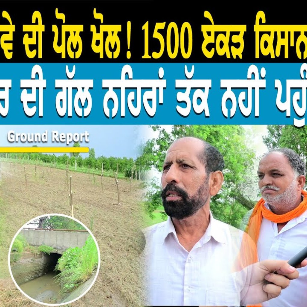 ਸਰਕਾਰ ਦੇ ਦਾਵੇ ਦੀ ਪੋਲ ਖੋਲ! | ਟੇਲਾਂ ਤਾਂ ਦੂਰ ਦੀ ਗੱਲ ਨਹਿਰਾਂ ਤੱਕ ਨਹੀਂ ਪਹੁੰਚਿਆ ਪਾਣੀ | Talk With Rattan ਸਰਕਾਰ ਦੇ ਦਾਵੇ ਦੀ ਪੋਲ ਖੋਲ! | ਟੇਲਾਂ ਤਾਂ ਦੂਰ ਦੀ ਗੱਲ ਨਹਿਰਾਂ ਤੱਕ ਨਹੀਂ ਪਹੁੰਚਿਆ ਪਾਣੀ | Talk With Rattan