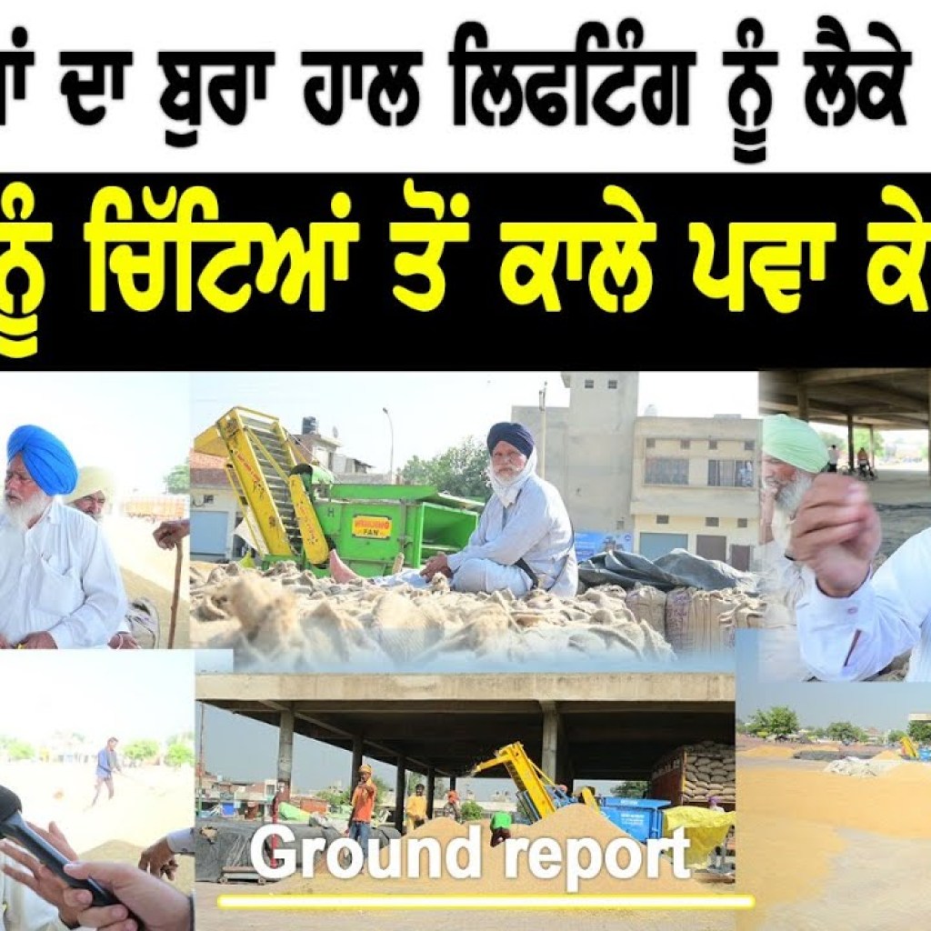ਮੰਡੀਆਂ ਦਾ ਬੁਰਾ ਹਾਲ ਲਿਫਟਿੰਗ ਨੂੰ ਲੈਕੇ ਵੱਡਾ ਖੁਲਾਸਾ “ਝੋਨਾ ਚਿੱਟਿਆਂ ਤੋਂ ਕਾਲੇ ਪਵਾ ਕੇ ਜਾਊ | Talk With Rattan ਮੰਡੀਆਂ ਦਾ ਬੁਰਾ ਹਾਲ ਲਿਫਟਿੰਗ ਨੂੰ ਲੈਕੇ ਵੱਡਾ ਖੁਲਾਸਾ “ਝੋਨਾ ਚਿੱਟਿਆਂ ਤੋਂ ਕਾਲੇ ਪਵਾ ਕੇ ਜਾਊ | Talk With Rattan