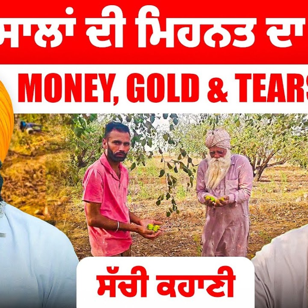 ਬਾਪੂ ਦੇ ਹੰਜੂਆਂ ਦਾ ਜਵਾਬ ਕੌਣ ਦਊ? | 27 ਸਾਲਾਂ ਦੀ ਮਿਹਨਤ ਦਾ ਮੁੱਲ ਸਭ ਤੋਂ ਵੱਡੀ ਕਹਾਣੀ | Talk With Rattan ਬਾਪੂ ਦੇ ਹੰਜੂਆਂ ਦਾ ਜਵਾਬ ਕੌਣ ਦਊ? | 27 ਸਾਲਾਂ ਦੀ ਮਿਹਨਤ ਦਾ ਮੁੱਲ ਸਭ ਤੋਂ ਵੱਡੀ ਕਹਾਣੀ | Talk With Rattan