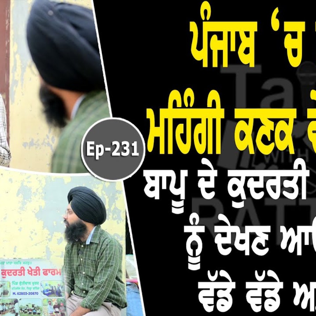 Show with Karam Singh Sidhu | Organic Farm | EP 231 | Talk with Rattan Show with Karam Singh Sidhu | Organic Farm | EP 231 | Talk with Rattan