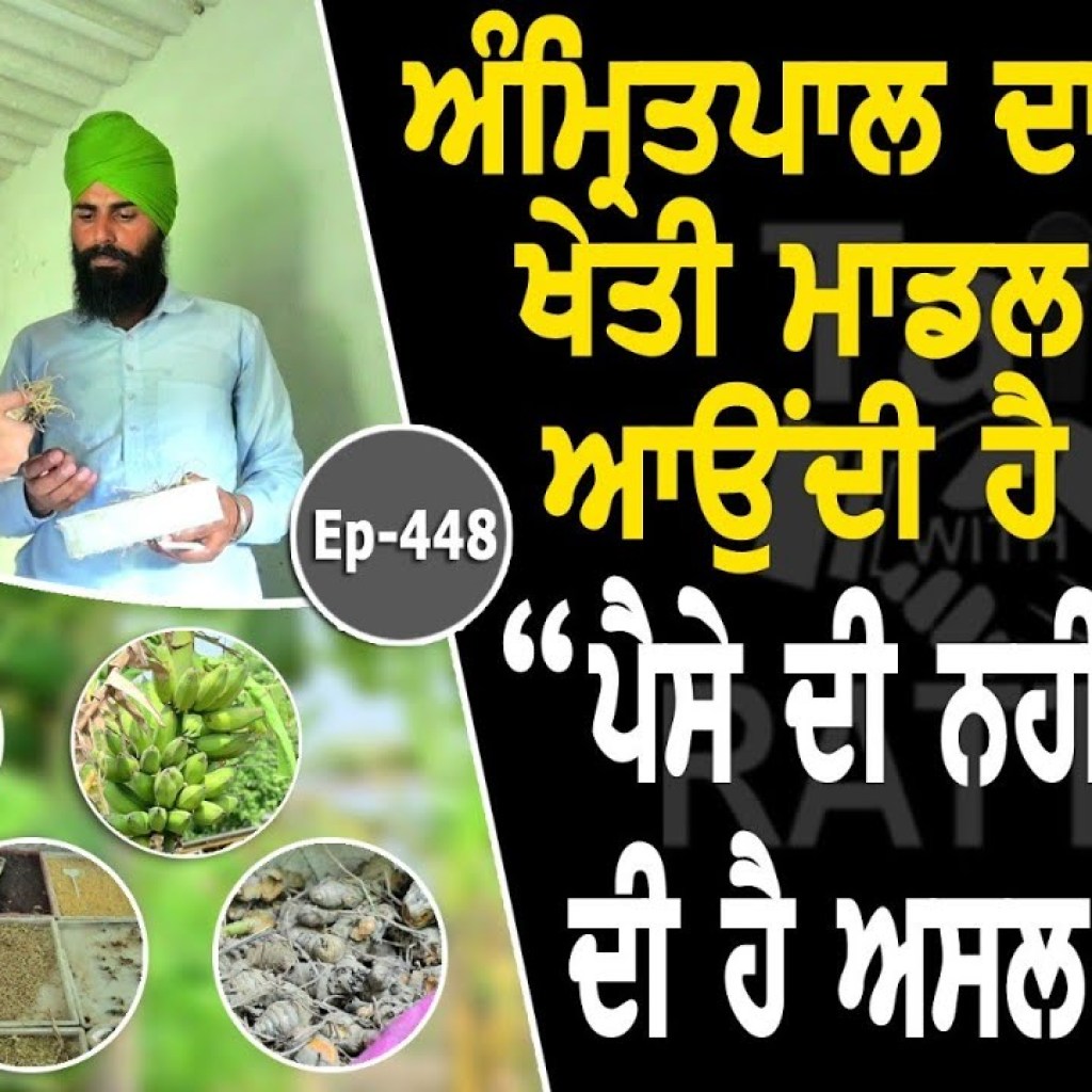 Show with Amritpal Singh | Organic Farming | EP 448 | Talk With Rattan Show with Amritpal Singh | Organic Farming | EP 448 | Talk With Rattan