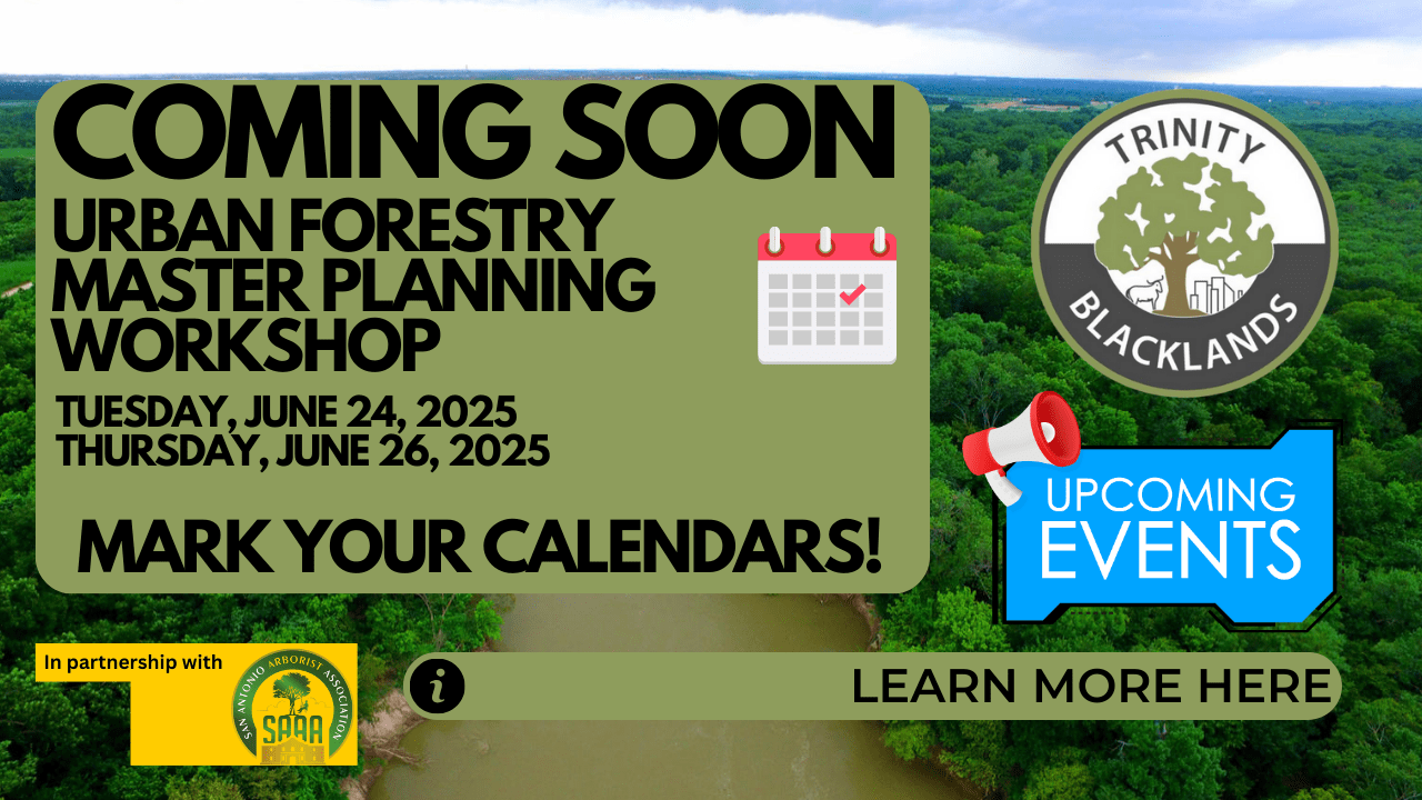 Urban Forestry Master Planning Workshop – June 24th & June 26th! Urban Forestry Master Planning Workshop – June 24th & June 26th!