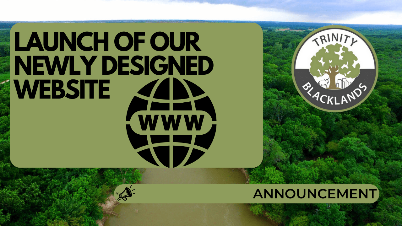 Launch of the new TBUFC Website! Launch of the new TBUFC Website!