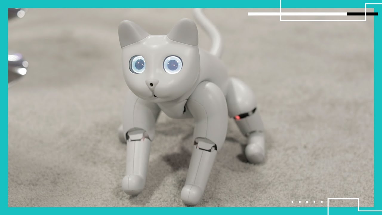 このロボット猫は私の指を噛んで、私の心をときめかせました このロボット猫は私の指を噛んで、私の心をときめかせました