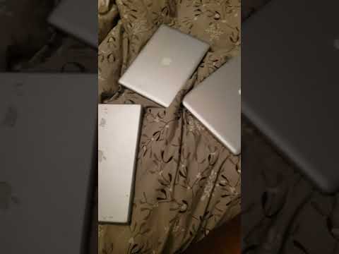 MacBookが多すぎる MacBookが多すぎる