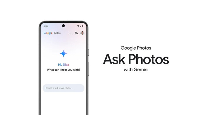 Google’s Ask Photos feature isn’t available in Texas and Illinois Google’s Ask Photos feature isn’t available in Texas and Illinois