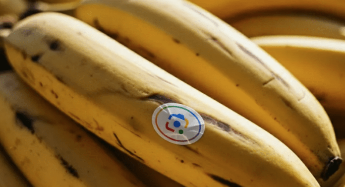 Google’s Nano Banana AI-image editing is coming to Search, NotebookLM and Photos Google’s Nano Banana AI-image editing is coming to Search, NotebookLM and Photos