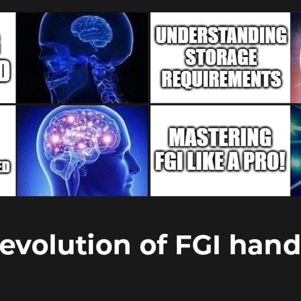 Managing Foreign Government Information (FGI) on a Network Managing Foreign Government Information (FGI) on a Network