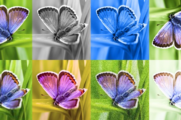 Identifying AI-generated images with SynthID Identifying AI-generated images with SynthID