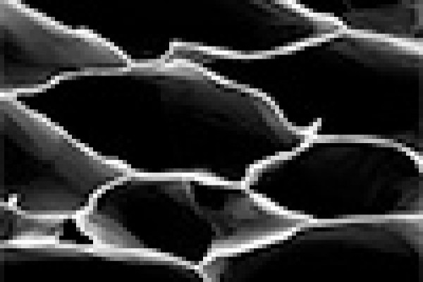 Graphene aerogel metamaterial permits extremely elastic and sturdy stress sensors Graphene aerogel metamaterial permits extremely elastic and sturdy stress sensors
