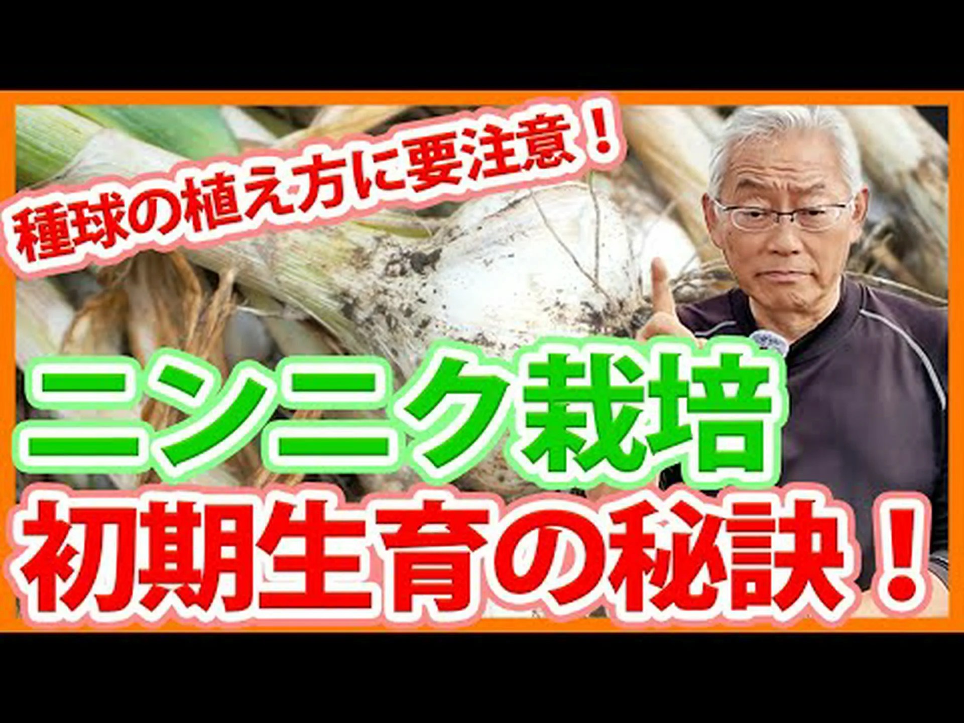 秋ニンニクの植え方は? 秋ニンニクの植え方は?