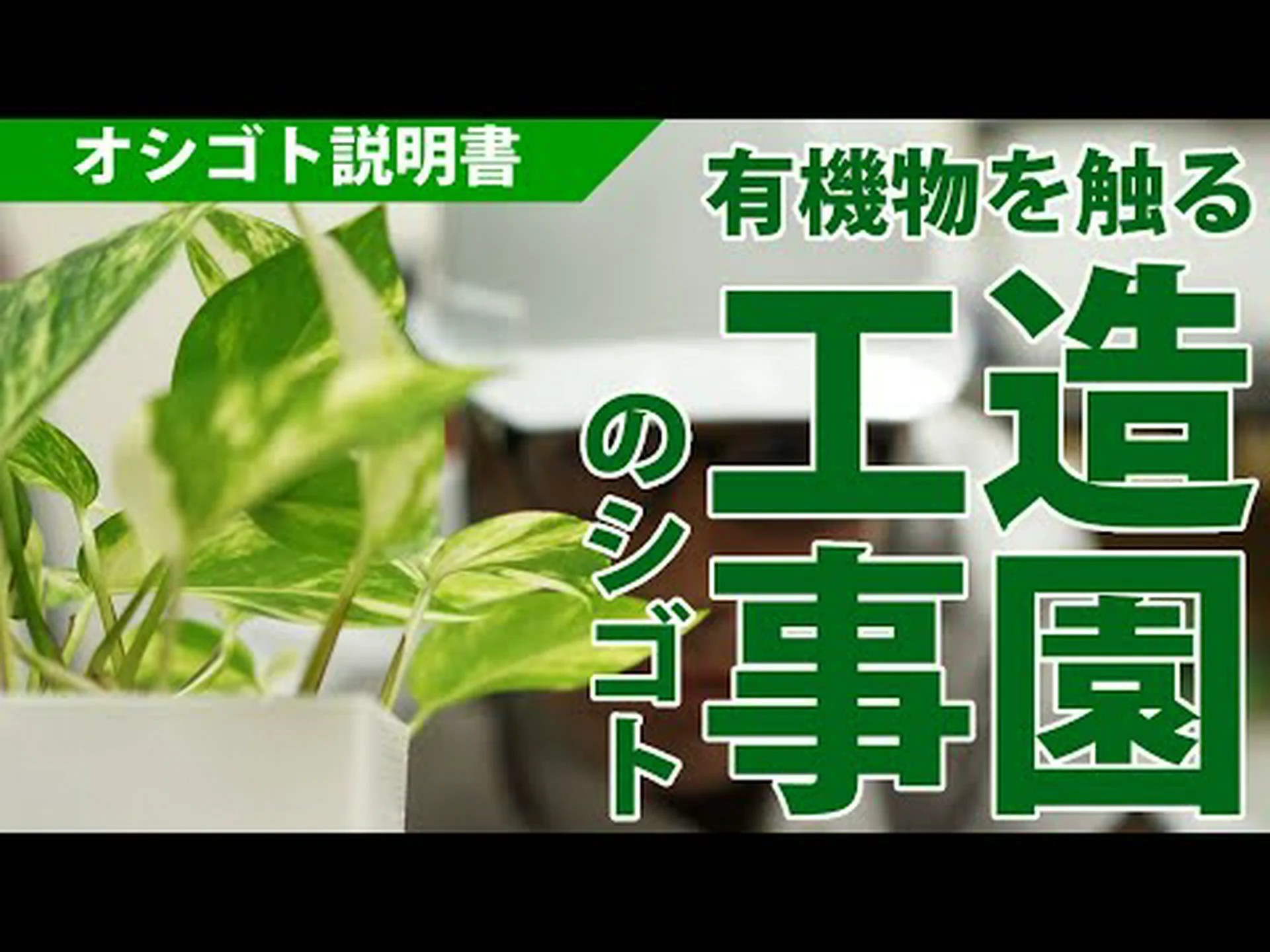 造園屋ってどんな仕事をするの? 造園屋ってどんな仕事をするの?